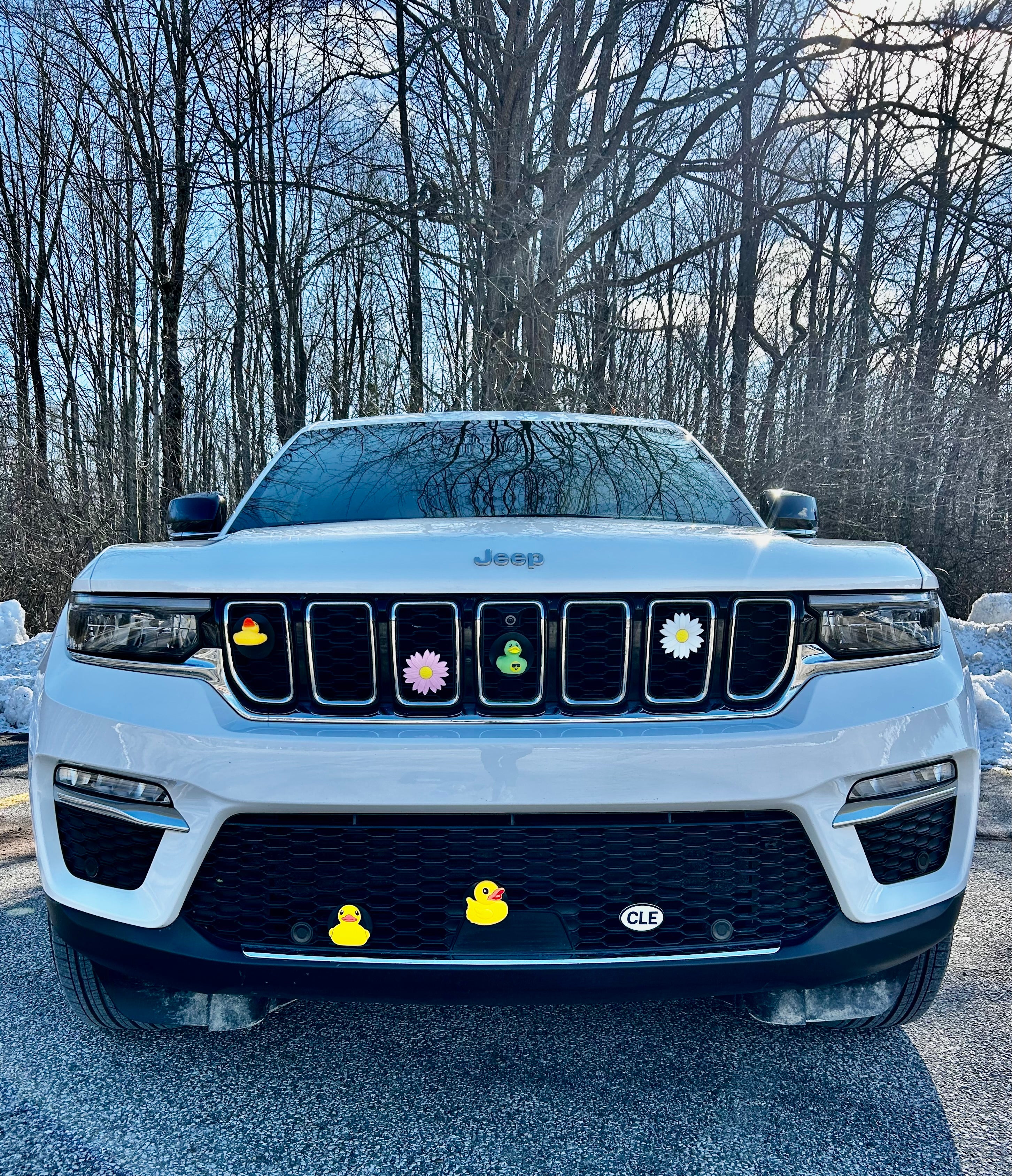 Custom Car Grille Inserts – Mix and Match