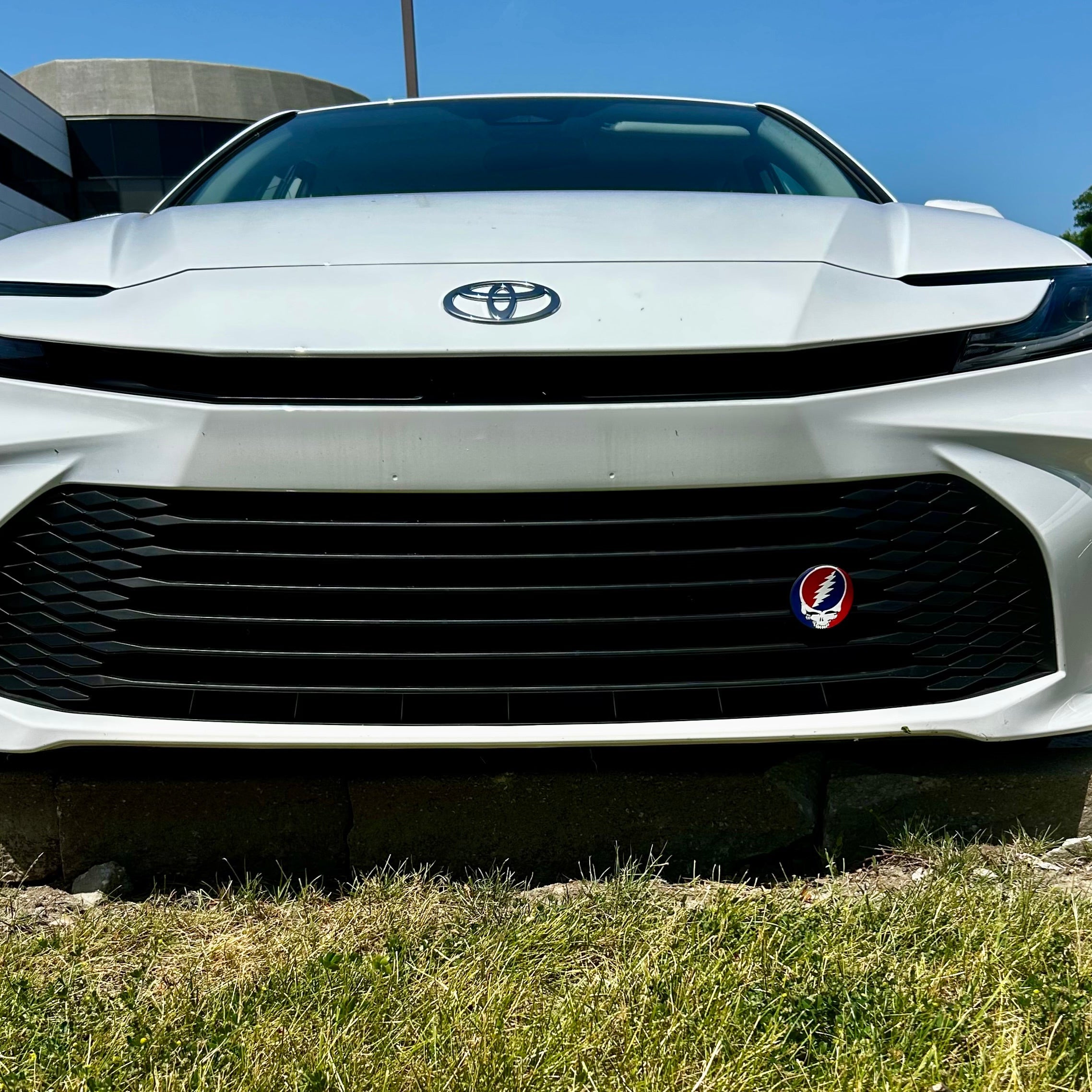 Decorative Car Grill Insert – Steal Your Face | Grill Bits