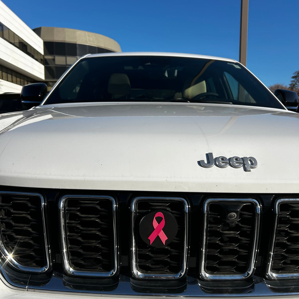 Pink Ribbon Breast Cancer Awareness Grill Bit - Portion of Every Sale goes to the Susan B. Komen Foundation