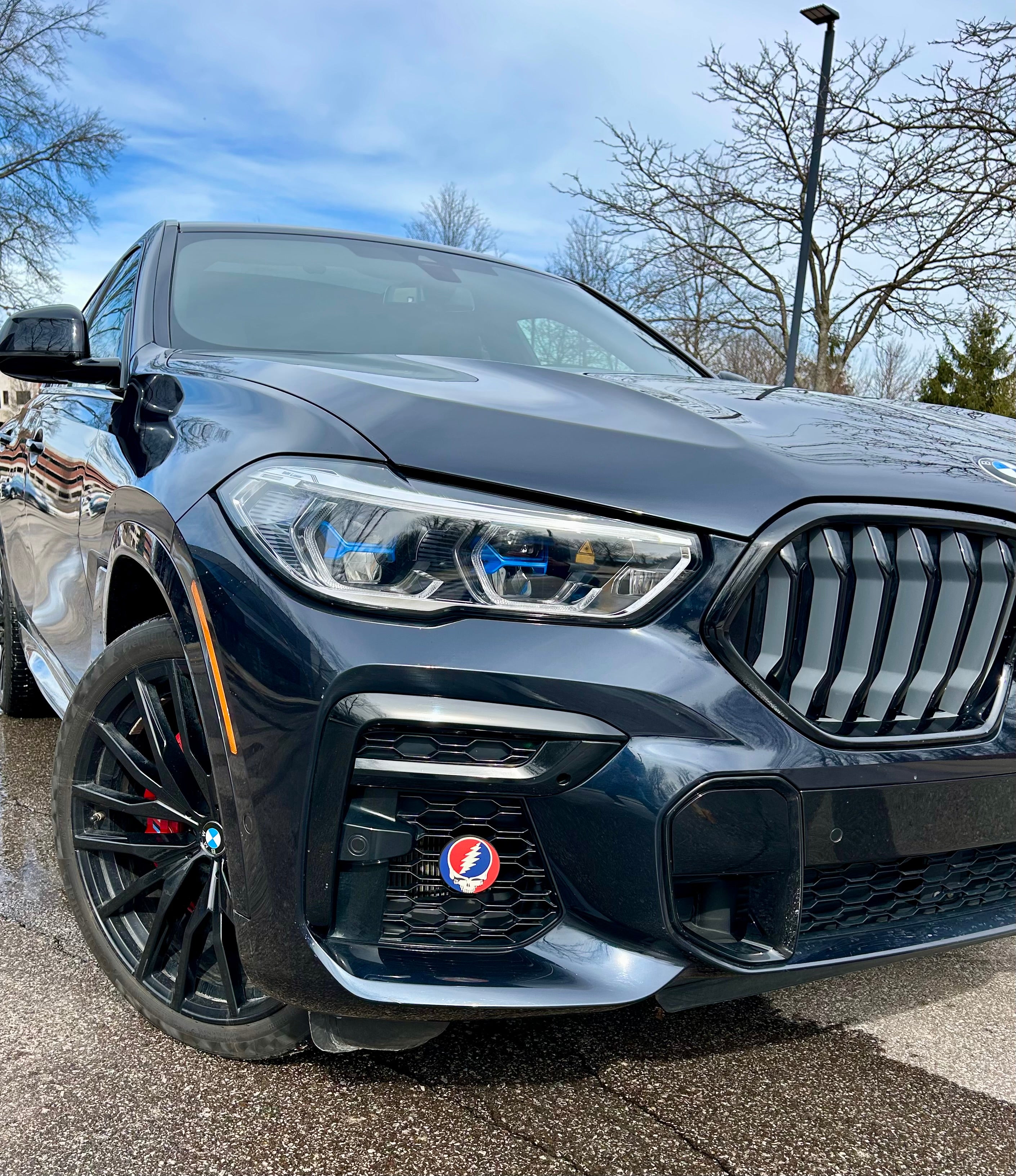 Decorative Car Grille Insert – Steal Your Face | Grill Bits