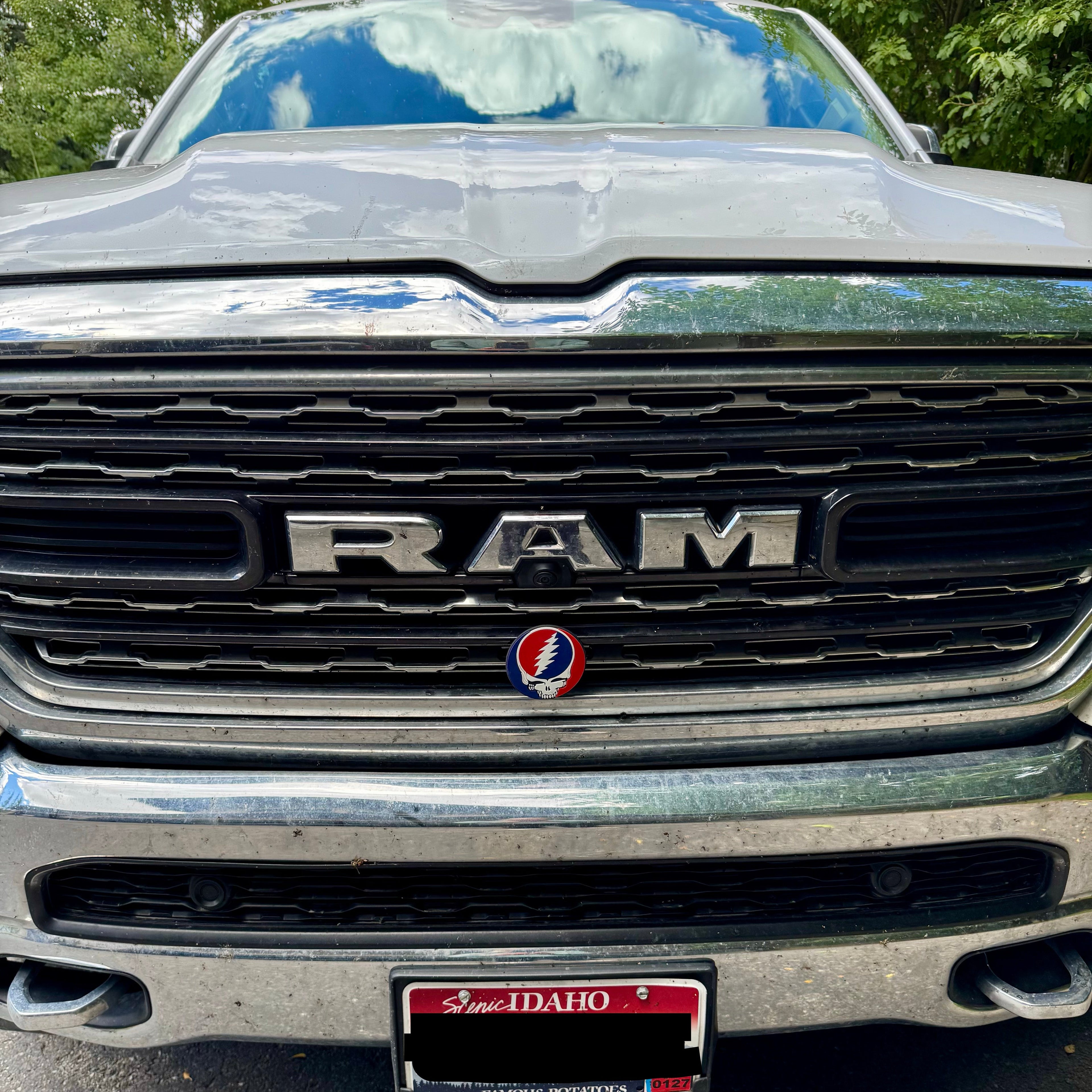 Decorative Car Grill Insert – Steal Your Face | Grill Bits