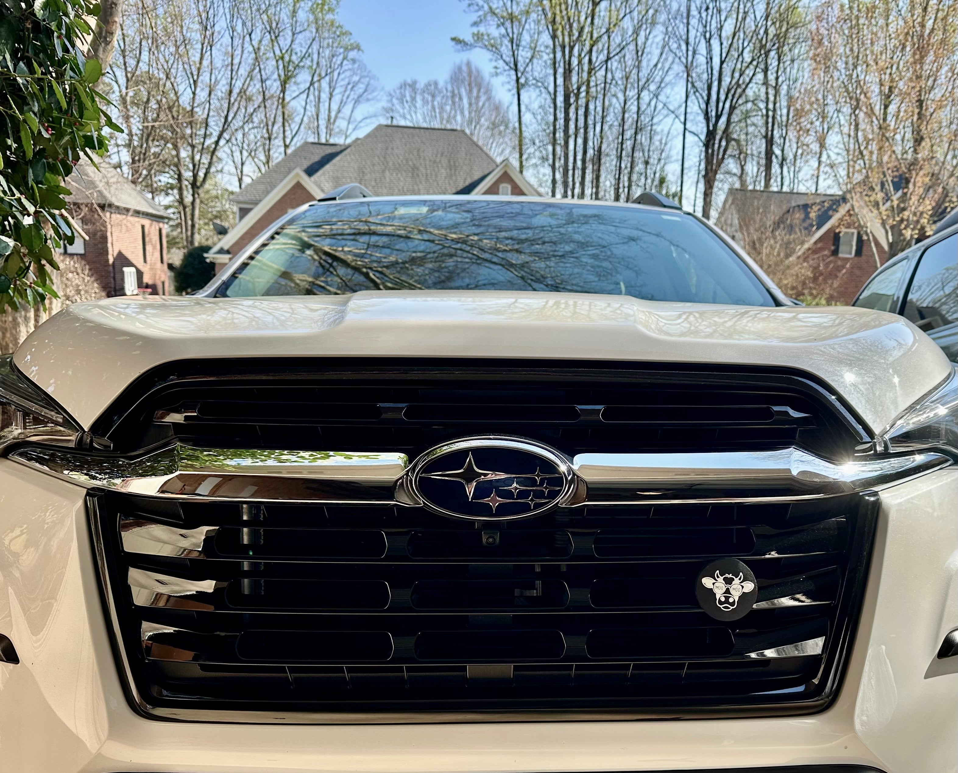 Decorative Car Grille Insert – Subaru Moo Moo | Grill Bits