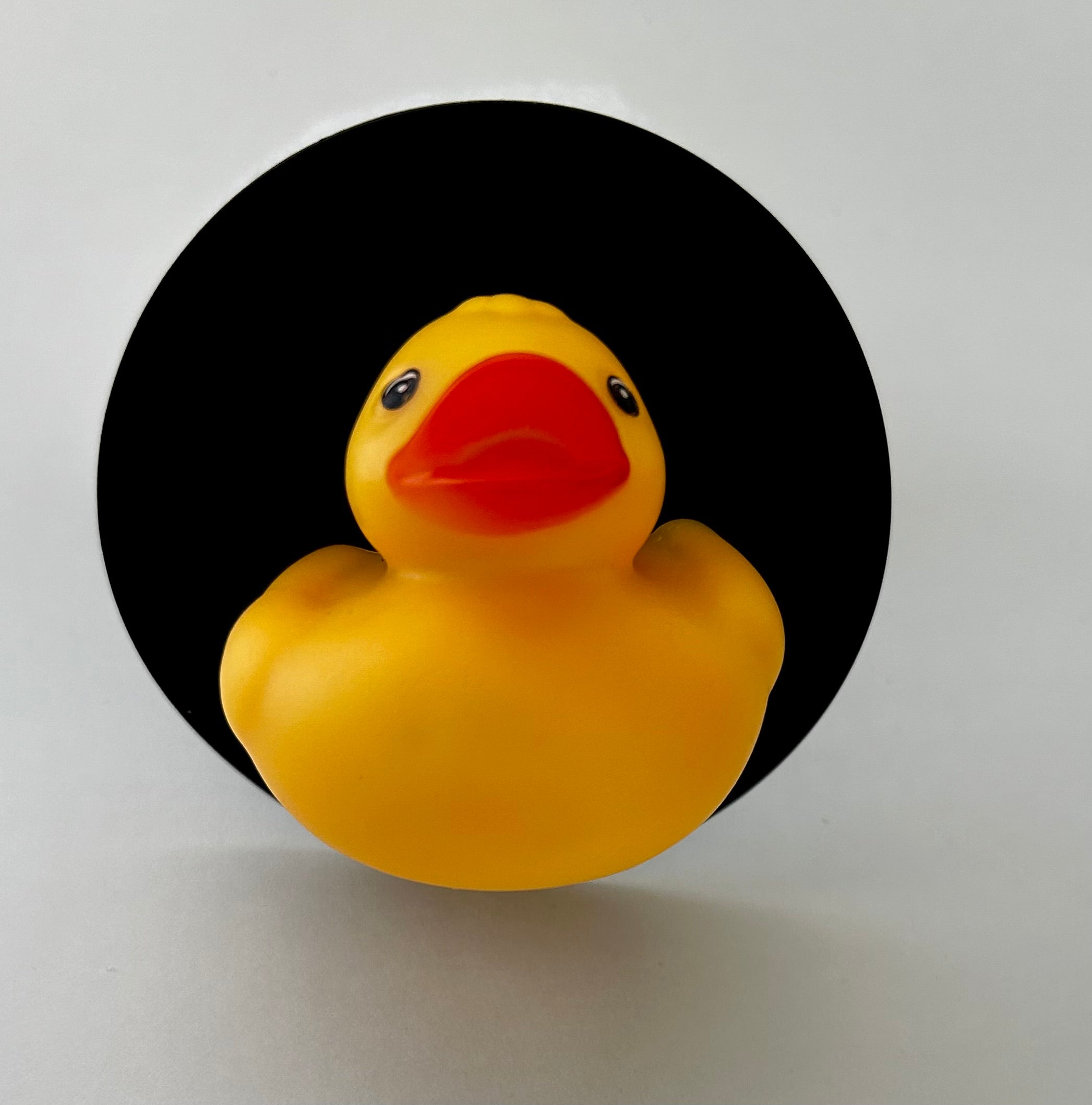 Ribber Duck 3D decorative car grill insert – Grill Bits"