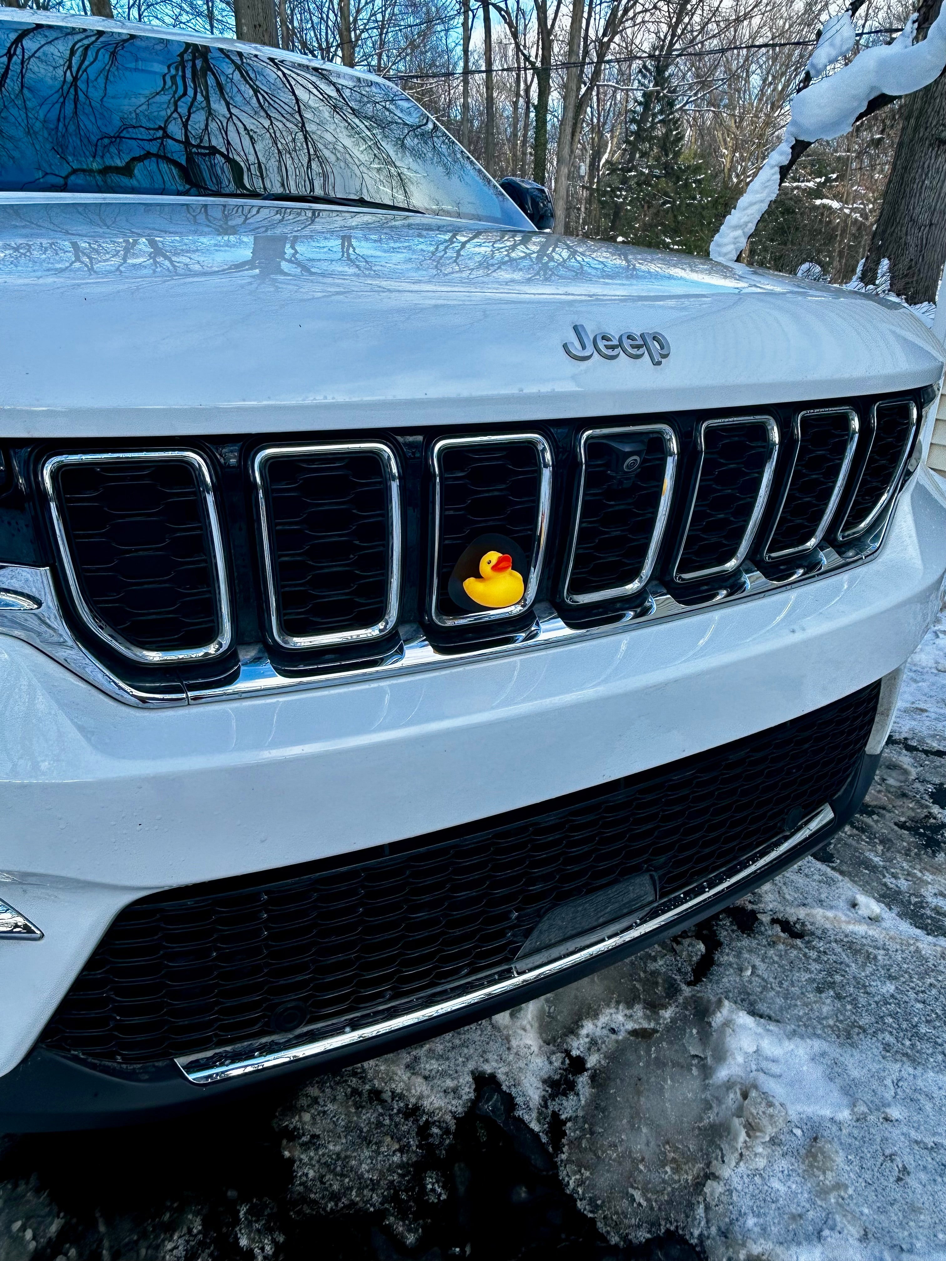 Decorative Car Grill Insert – 3D Duck | Grill Bits