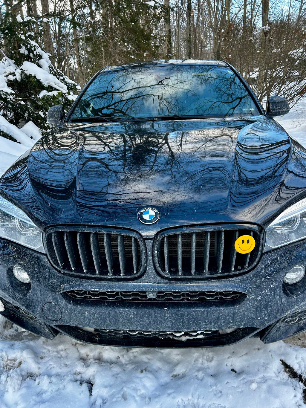 Decorative Car Grill Insert – Smiley Face | Grill Bits