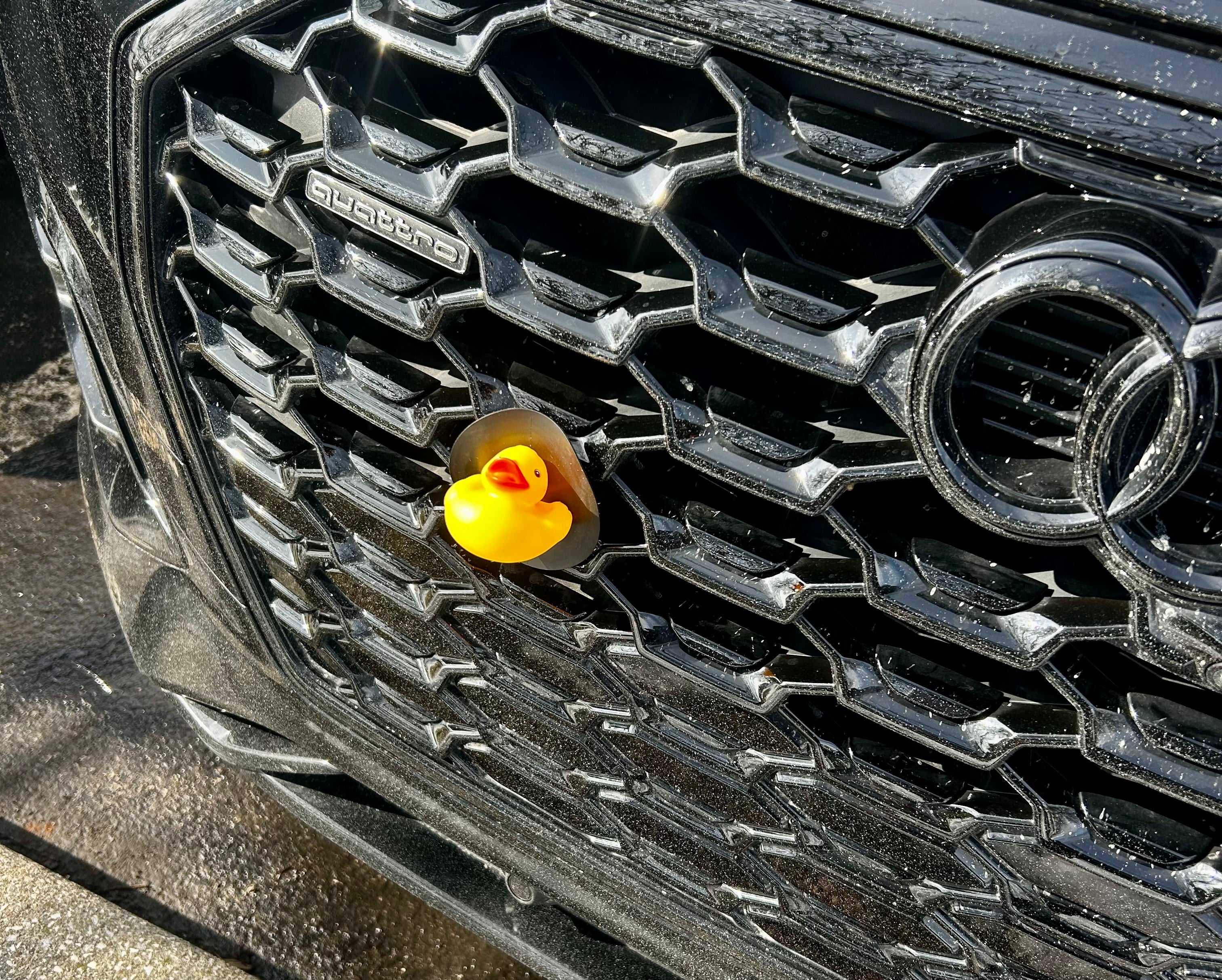 Decorative Car Grill Insert – 3D Duck | Grill Bits