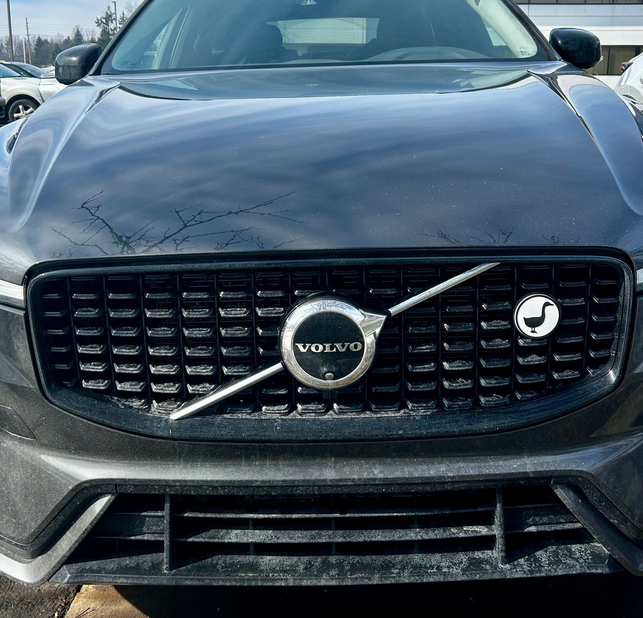 Decorative Car Grill Insert – GOOOOSE! | Grill Bits