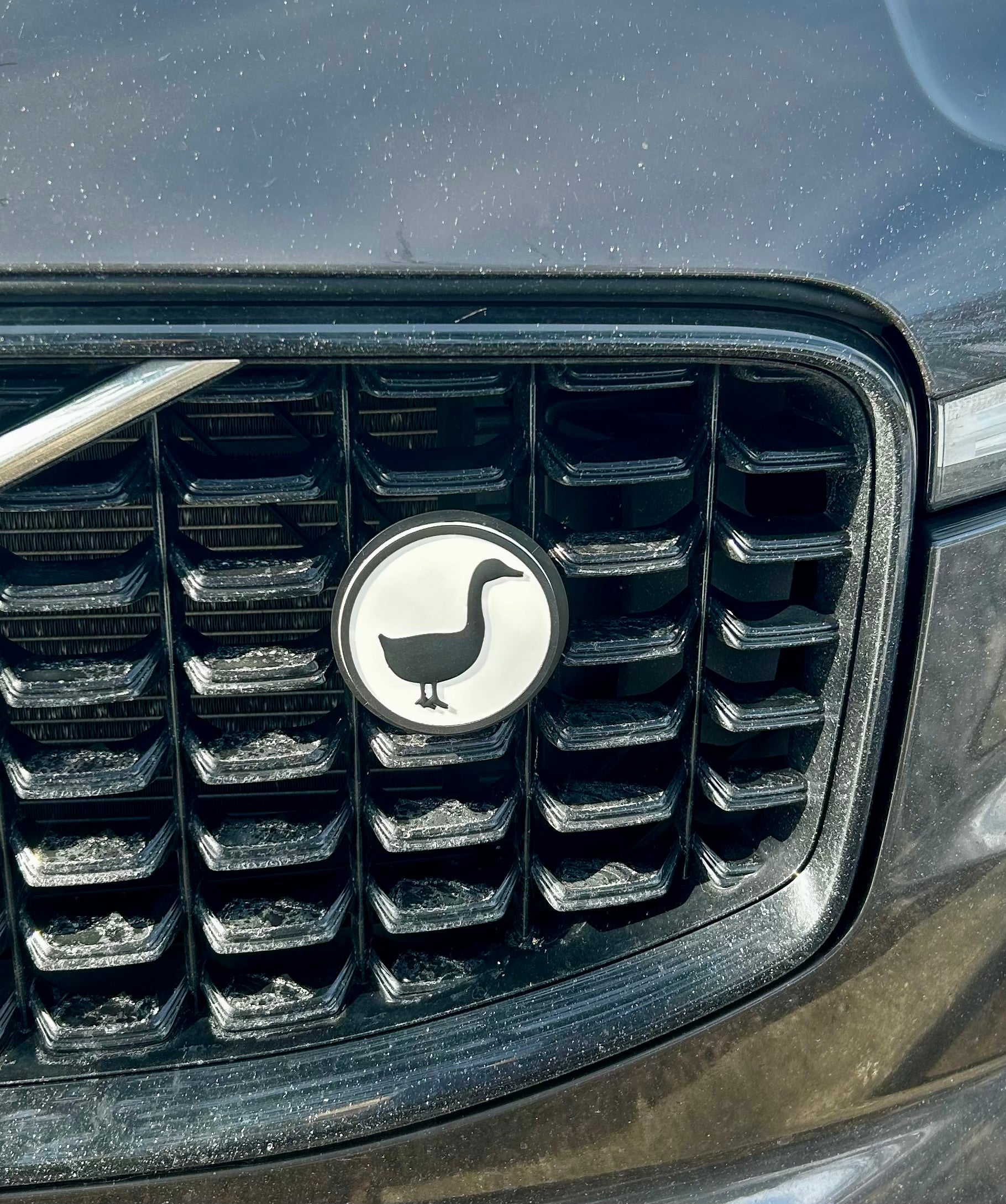 Decorative Car Grill Insert – GOOOOSE! | Grill Bits