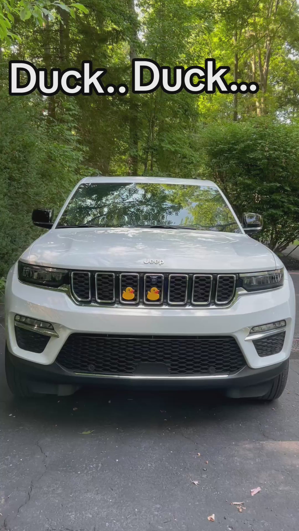 Decorative Car Grill Insert – GOOOOSE! | Grill Bits